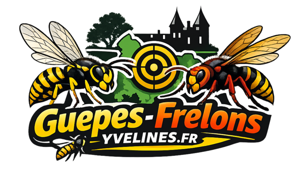 Yvelines Guêpes